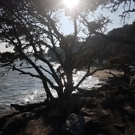 Maison 3 , Terrasse Plein Sud, 5 Mn De La Et Foret Notre-Dame-de-Monts
