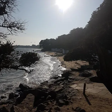 Maison 3 , Terrasse Plein Sud, 5 Mn De La Et Foret Villa