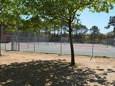 Villa Maison 3 , Terrasse Plein Sud, 5 Mn De La Et Foret *