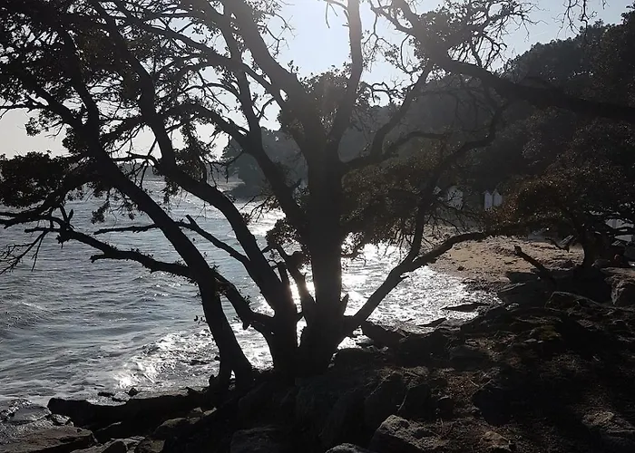 Maison 3 , Terrasse Plein Sud, 5 Mn De La Et Foret Notre-Dame-de-Monts