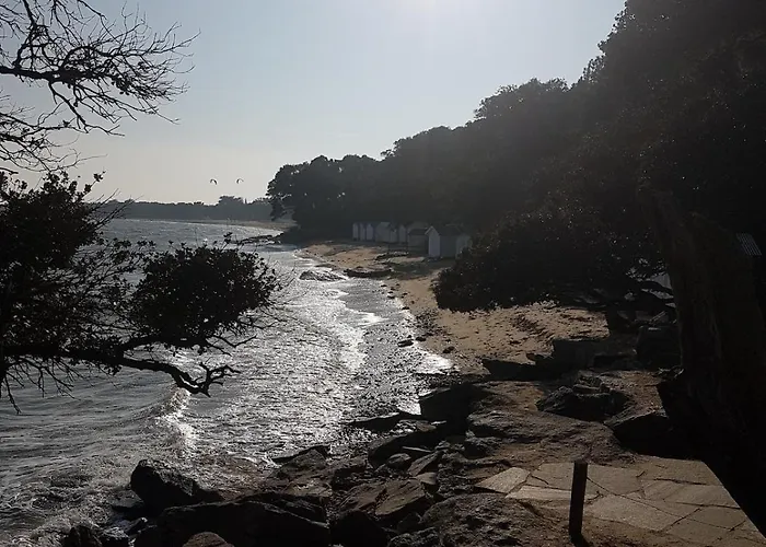 Maison 3 , Terrasse Plein Sud, 5 Mn De La Et Foret Villa